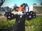 1368509554.aurora-fox_photo_may_13,_10_26_16_pm