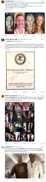 Epstein wikileaks