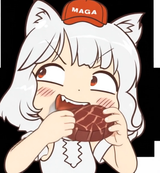 awoosteak16