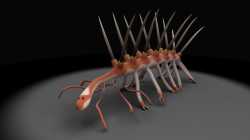 Hallucigenia Sparsa_thumb.jpg