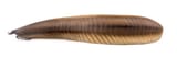Pikaia gracilens