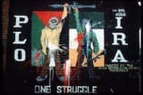 ira olp