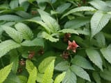 IMG_20250810_162001775