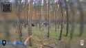 Ukrainian fighters from the 1st Assault Battalion of the 92nd Brigade named after Ivan Sirko are destroying Russian equipment 10-08-2025 Kursk, fiber-optic HD_thumb.jpg
