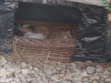 IMG_20250810_165421659