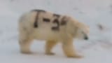 1727028796512535