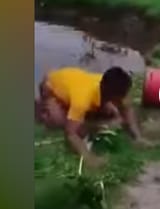 monkey pounding