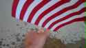 Amerimutt-rag-burning_thumb.jpg