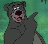 Simple bear nechecksities