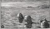 seers_drowned_at_high_tide