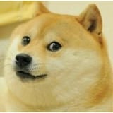 13fb9777ae81a93e94328055afe19accd865667af6282d084346923883a16836