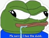 422488117_1469237640369038_8820562525122528024_n