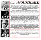 final picture of MLK