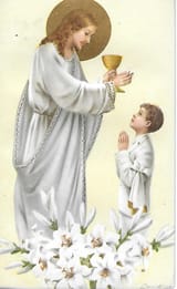 first_communion_boy_stand_up__68410