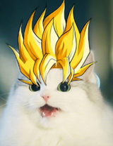 Super Saiyan Nigger Cat
