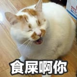 15556524082590