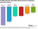 Vanishing Hispanic Birth Rates