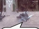 Russian aircraft &#039;were not destroyed, but damaged&#039; as a result of the Spiderweb operation, the Deputy Foreign Minister of the Russian 05-06-2025 Sergei Ryabkov
