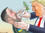 Ukraine live in Peace