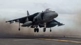 harrier
