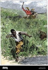 escaping-african-american-slave-fleeing-from-slave-hunters-and-their-AEXKB1