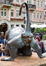 IMG_7827