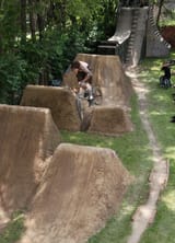 backyard1722802