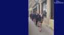 Ladies Lounge supporters strut their stuff as Mona case heads to supreme court [TubeRipper.cc]_thumb.jpg