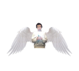 Wings