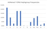 EmbeddedImage
