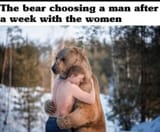 smart bear1
