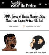 monkey-indian-rape