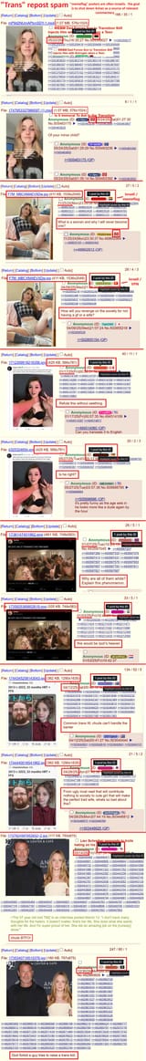 Trans reposts memeflag