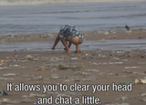 poochat