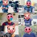 Dead Al Jazeera piglets_thumb.jpg