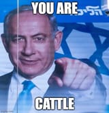 GviTWWyXIAECqTG you are cattle reaction image