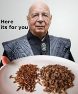 kbugs