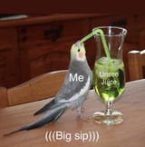 1603829269746