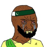 average pol user