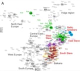Slavic russian ancestry pca