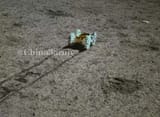 China&#039;s autonomous intelligent robot &#039;Jinchang&#039; of the Chang&#039;e-6 mission roams the moon