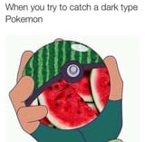 NiggerTypePokemon
