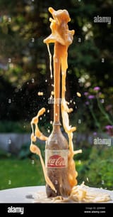 coca-cola-splashes-out-of-the-bottle-after-mentos-sweets-were-added-to-the-carbonated-cola-liquid-2J5R4RR