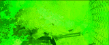1713899994868817