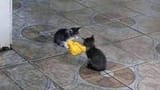 handshake