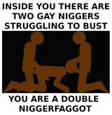 double-niggerfaggot