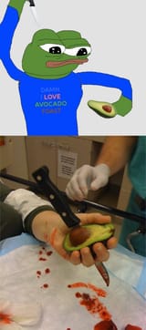 avocadotoast