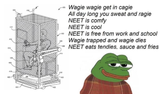 1663243568559631