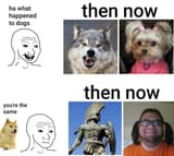 1753880920987448