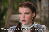 what would you do with a brain